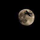 Tay100099的个人资料头像