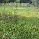 勇敢的心不想说话100104的个人资料头像