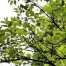 Jerry重名了100140的个人资料头像