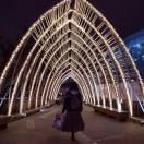 哼哼怪的个人资料头像