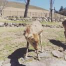 nicole在掘金的个人资料头像