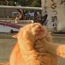 angerlover君的个人资料头像