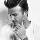 棒棒糖的个人资料头像