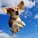 TeFuir本尊的个人资料头像