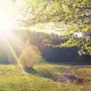 俊冰的个人资料头像