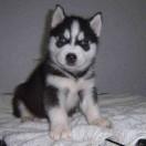 瞬间惊醒的个人资料头像