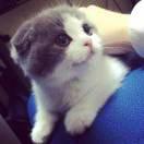 兜里揣俩糖的个人资料头像