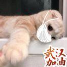 AmarisWanderCaecilius的个人资料头像