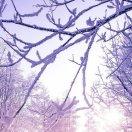 书平的个人资料头像