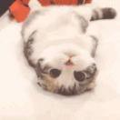 Healer就是我100516的个人资料头像