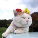 A徐亮波KingA的个人资料头像