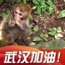 李铭的个人资料头像