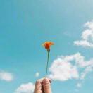 用户233933713713的个人资料头像