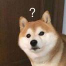 爱学习100569的个人资料头像