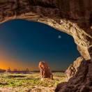 Tangnibal的个人资料头像