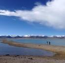 高扬六神的个人资料头像