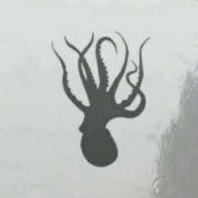 章伯魂的个人资料头像