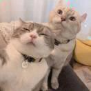 SimnSebastin的个人资料头像