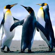 程序员成长的个人资料头像