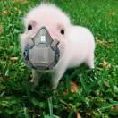 江涛爱学习的个人资料头像