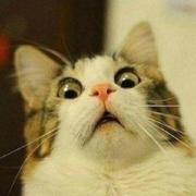 carsonlm的个人资料头像