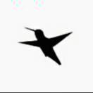 排骨侠的个人资料头像