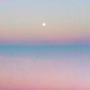 xxxibgdrgn的个人资料头像