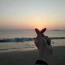 IT_Hz的个人资料头像