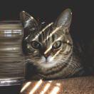 红就是我100881的个人资料头像