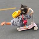 phan本尊的个人资料头像