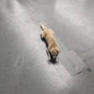 Maya哎呀的个人资料头像