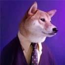 木子不想说话101005的个人资料头像