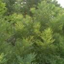 疯子本尊101048的个人资料头像