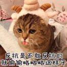 狂奔的蜗牛同志101099的个人资料头像