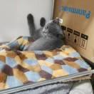 H不想说话101137的个人资料头像