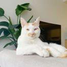 Yakult101158的个人资料头像