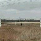 山流的个人资料头像