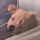 WZXx的个人资料头像