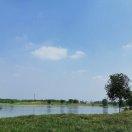 巴赫肖邦猜想曲的个人资料头像