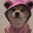 YANGJIAN101292的个人资料头像