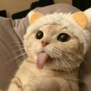 小邓不笨的个人资料头像