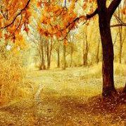 改变O自己的个人资料头像