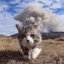 伍祥清的个人资料头像