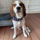 啊重名了101374的个人资料头像