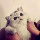 suo同志的个人资料头像