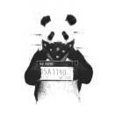 酱101441的个人资料头像