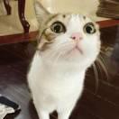 Lego同学的个人资料头像