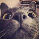 Puppppp的个人资料头像