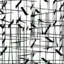 本尊101537的个人资料头像