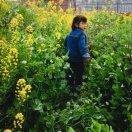 陈志能的个人资料头像